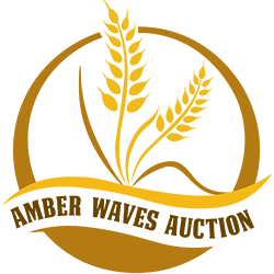 amber waves auction logo